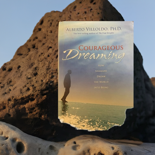Courageous Dreaming How Shamans Dream the World into Being